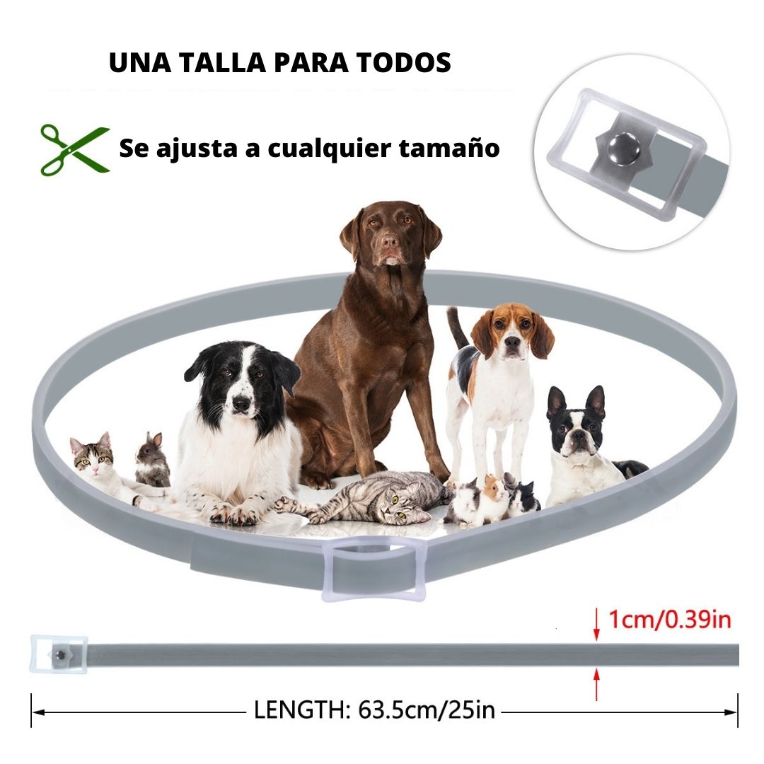 Collar antipulgas