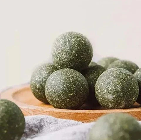 Catnip Menta para gatos