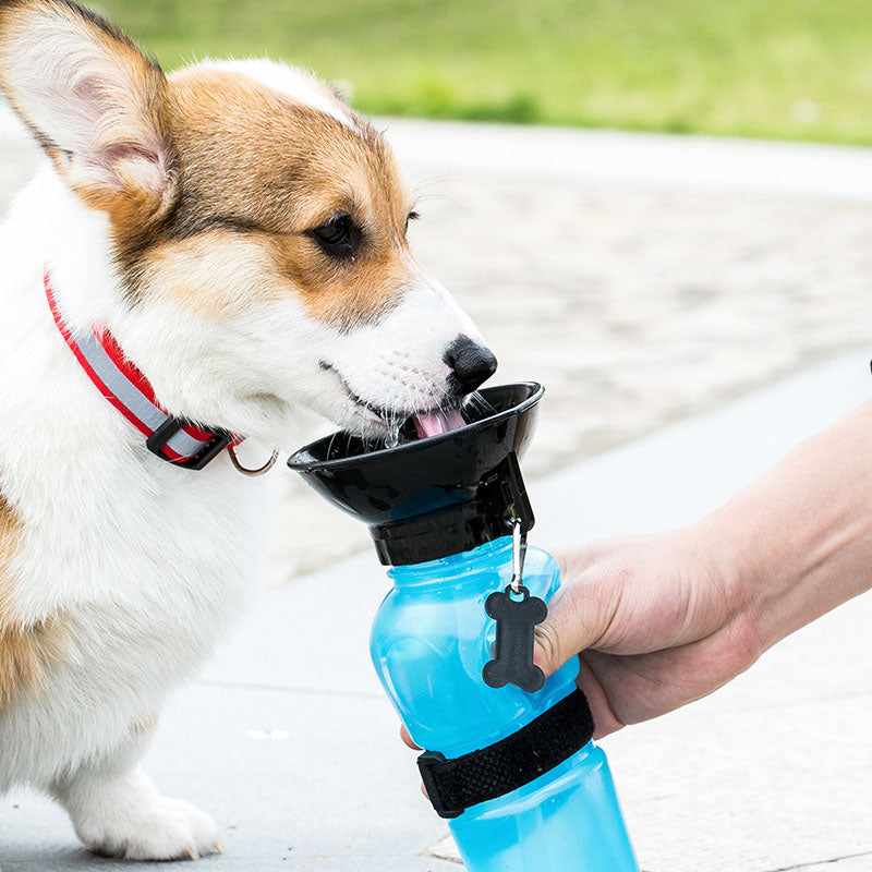 Bebedero Portátil para mascotas