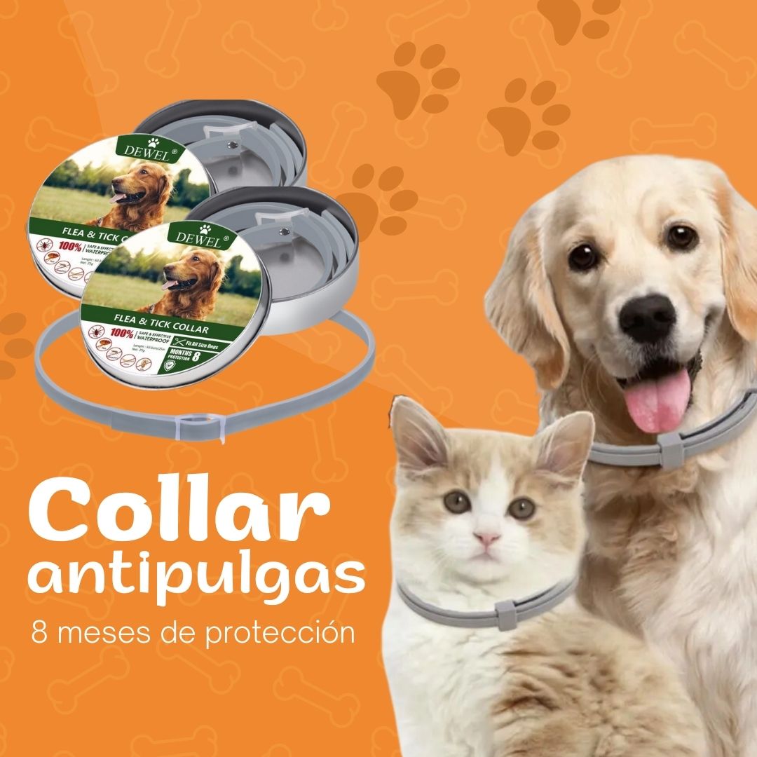 Collar antipulgas