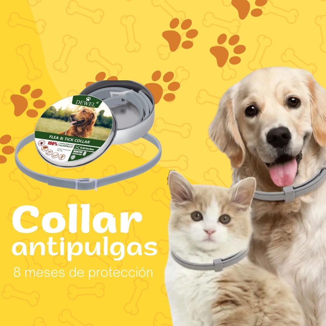 Collar antipulgas