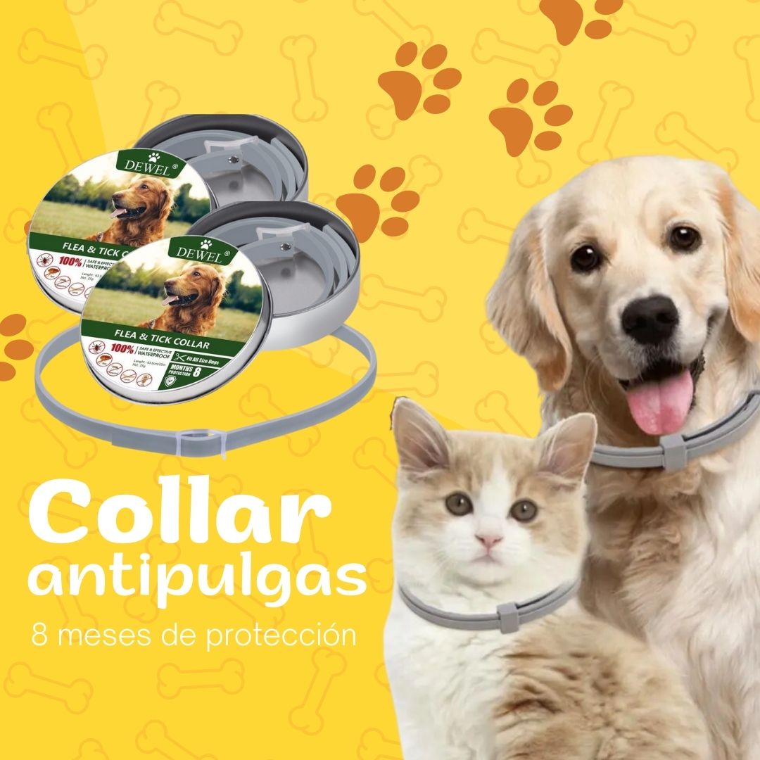 Collar antipulgas