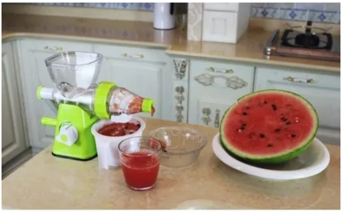 Molino Extractor De Jugo Exprimidor Manual JUICER-PLU