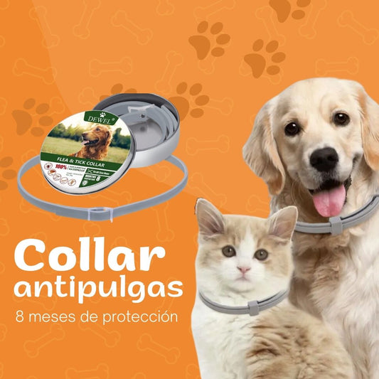 Collar antipulgas